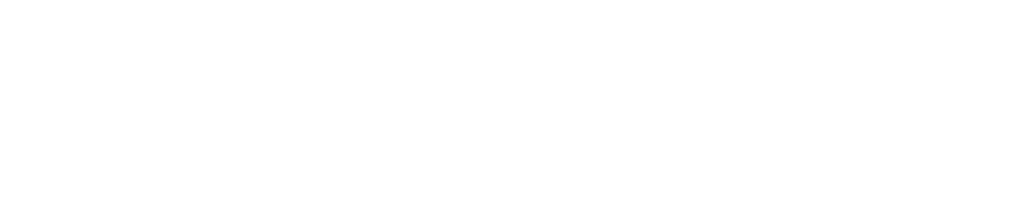 SmartPonpes